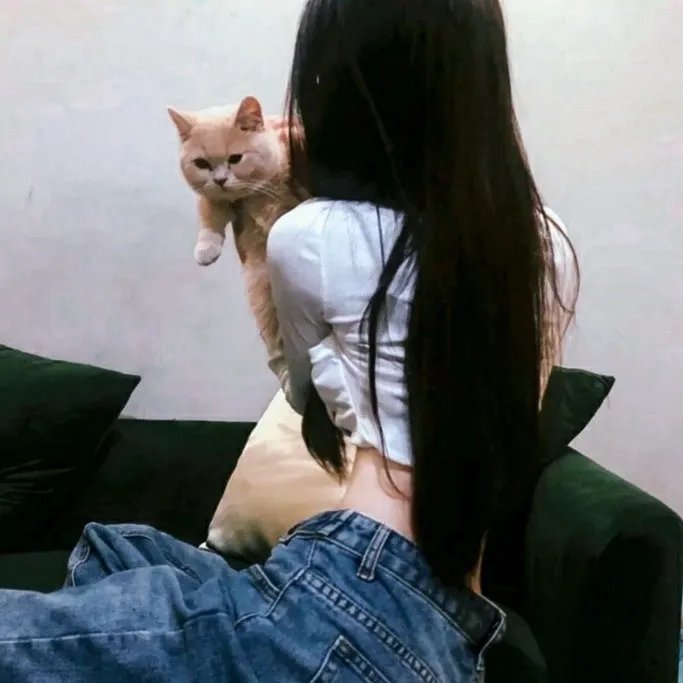 朋友圈 第2季